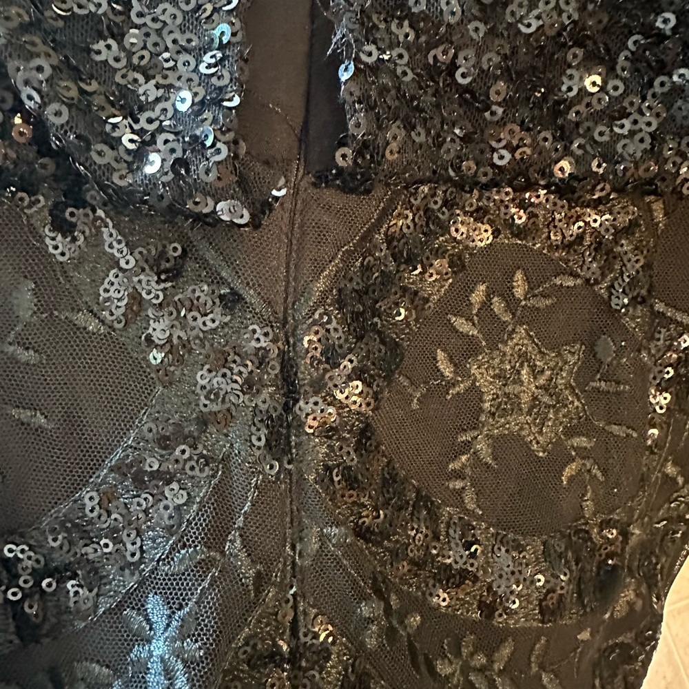 R&M RICHARDS Sequined Lace dress 16W NWT - Picture 15 of 15